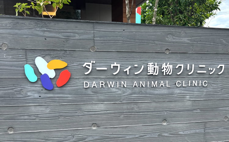 Darwin animal clinic